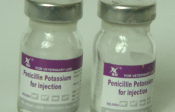 Пеницилинът - първият антибиотик  в света