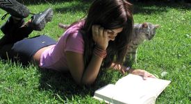 Как да се научим да четем книги?