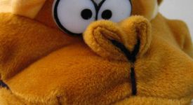 22.3% от учениците - НЕГРАМОТНИ!