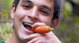 Идва края на тютюнопушенето 