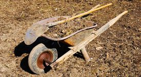 Рекорден брой студенти заминават на бригади