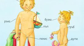 Моята книжка за тялото
