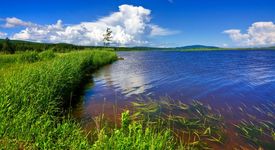 Мисли зелено - любопитни факти