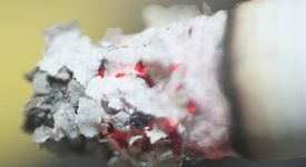 Тютюнът - проклятие или удоволствие? 