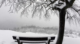 Ученици искат ваканция заради студа