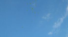 Постоянни компоненти на атмосферния въздух