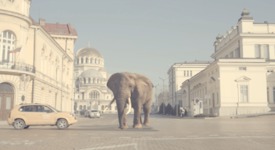 Кристо разходи слон и тигър по жълтите павета в новото си видео „Стъпвай смело“