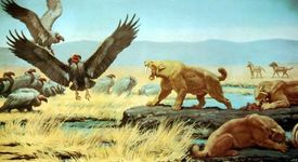 Съблезъбият тигър - Смилодонът