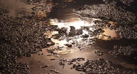 Използване на утайки, получени след пречистване на водите