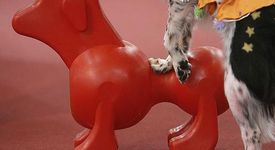 Кучешки секс кукли се появиха на пазара в Санкт Петербург 
