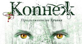 Книгата, която очакват всички тийнейджъри
