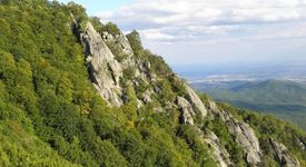 Открита гробница в местността Кози грамади 