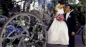 Влюбена двойка се ожени ... 85 пъти за половин година