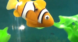 Робо-рибка – перфектният подарък за мързеливия стопанин (+видео)