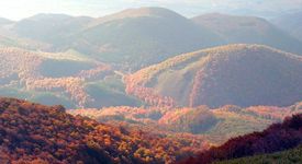 Франц Тоула и България