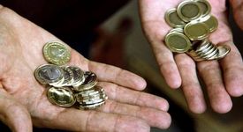 Отказват на жена от Хасково да плати за паяк със стотинки
