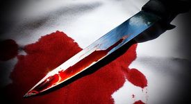 Тийнейджърка от Плевен едва не уби приятеля си