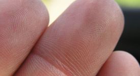 Пръстовите отпечатъци и за какво служат те?