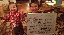 Деца събраха 100 хил. харесвания във Фейсбук и се сдобиха с коте