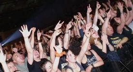 Фенка пострада по време на концерт