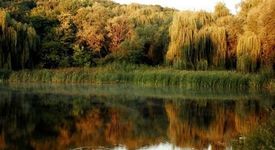 5 юни - Световяен ден на околната среда 