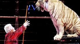 Майка на дете осъди цирк, защото нямало номер с лъвове и тигри 