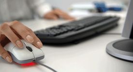 Работата в мрежата увеличава мозъчните способности