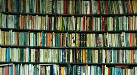 Книгите намаляват стреса