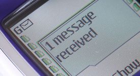 Тийнейджърка пише SMS на майка си, че ще се самоубие и бяга в гората