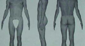 Уилям Шелдън и структурната теория на личността