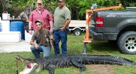 Тийнейджър улови 362-килограмов алигатор на въдицата си 