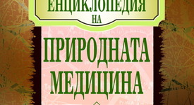 Природата: най-добрият лекар﻿?