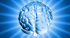 IQ тестовете не са добър измерител на интелигентността