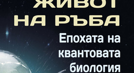 „Живот на ръба“ или квантовото бъдеще на човечеството