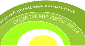 Кино и музика оцветяват лятото