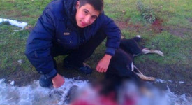 Момче позира на снимка с убито куче във Facebook