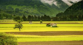 3 зодии, които предпочитат живота на село