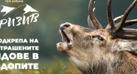 Кампанията в защита на застрашените видове в Родопите -  “Призив” успешно достиг