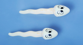 Любопитни факти за сперматозоидите 