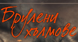 Бурната история на една всепоглъщаща и демонична любов...