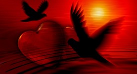Видовете любов и възможна ли е любовта между приятели [част втора]
