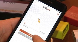 FindyPet - устройството, с което няма да има загубени домашни любимци
