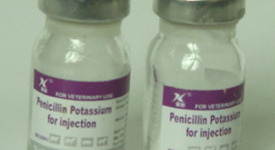 Пеницилинът - първият антибиотик  в света