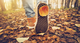 Няколко места за приятни есенни разходки близо до София