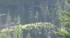 Заснеха същество, което доста прилича на Йети (+ видео)