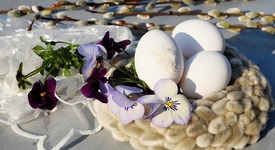5 любопитни факта за яйцето