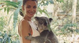 Диляна Попова гушка коала в Австралия