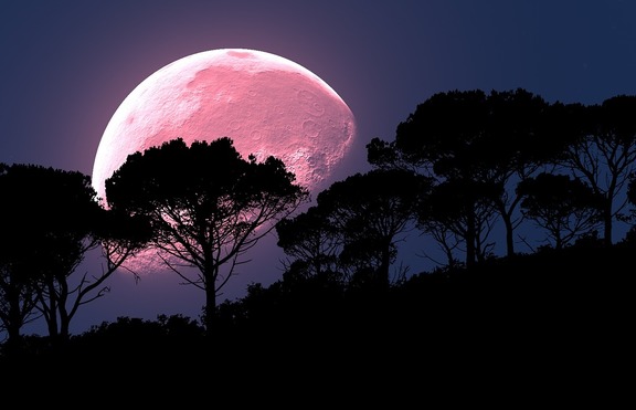 Ягодова луна на Еньовден - магична за 3 зодии