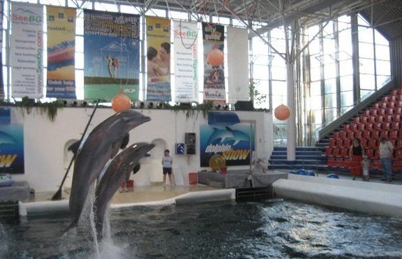Съдят делфинариум защото делфините пръскали вода!