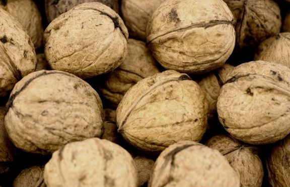Орехите и морските продукти предизвикват главоболие